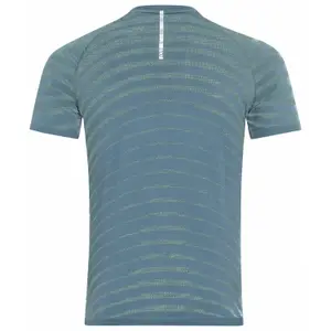 Camiseta Odlo Blackcomb Pro image-1
