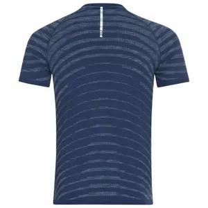 Camiseta Odlo Blackcomb Pro image-2