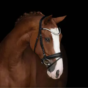 Riding bridle Kieffer Victoria with square chrome buckles image-1