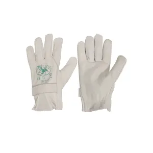 Payper Handschoenen 521 image-0