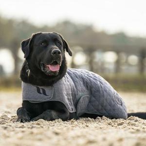 Sierść psa Back on Track haze collection 25 image-3