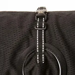 Koszula netto Back on Track teckel image-2