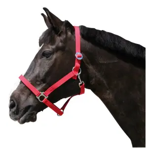 Licol nylon pony Kerbl Classic image-0
