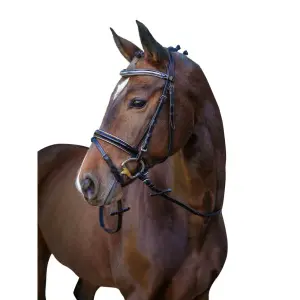 Kingston-Trense Kerbl image-1