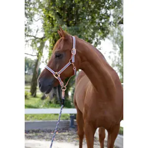 Cob halster Kerbl Cora image-0