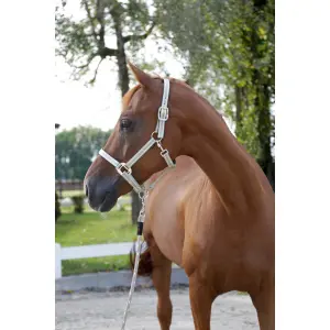 Cob halster Kerbl Cora image-0