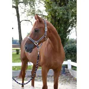 Pony halter Kerbl Cora image-2
