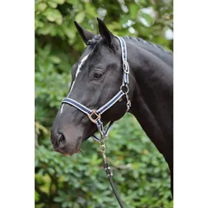 Pony halter Kerbl Cora image-1
