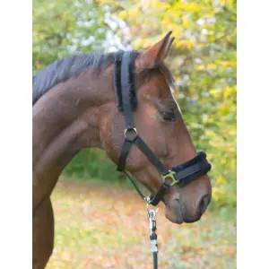 Synthetic pony halter Kerbl image-0
