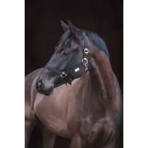 Nylon halster xfull Kerbl Classic image-0