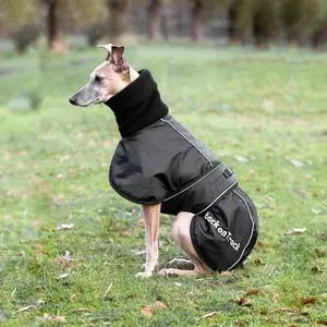 Frakke Back on Track whippet 45 cm image-1