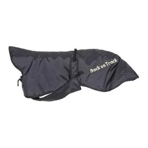 Frakke Back on Track greyhound image-0