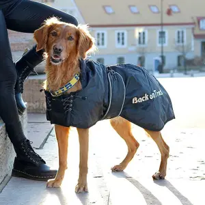 Standardrock Back on Track 21 cm image-1