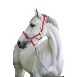 Exklusives Xfull-Halfter mit 2 Dornschließen Kerbl image-0