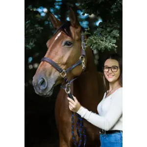 Halfter für Full-System Kerbl Goleygo image-0