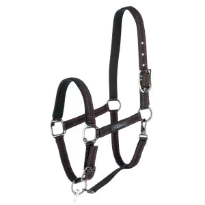 Halter para sistema xfull Kerbl Goleygo image-0