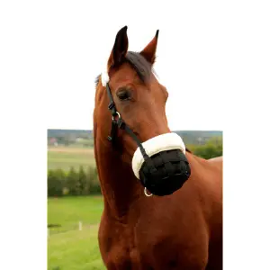 Maulkorb aus Nylon Kerbl Teddyfleece shetty image-1