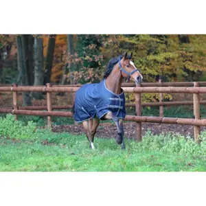 Rugbe-Decke Kerbl IceProtect 300 image-1