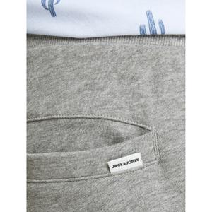 Pantalón de chándal Jack & Jones Gordon Shark basic image-6