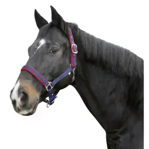 Halster met cob fleece voering Kerbl Dexter image-0