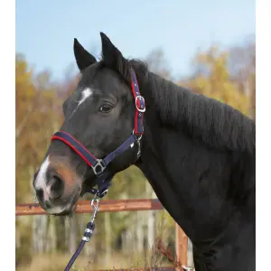 Halter with shetty fleece lining Kerbl Dexter image-1