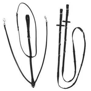 Enrênement Kerbl Thiedemann image-0