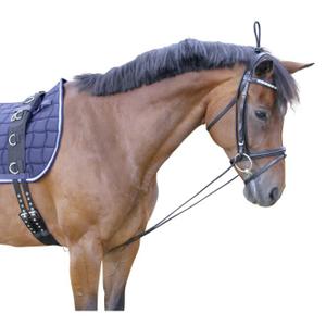 aro elástico Kerbl image-1