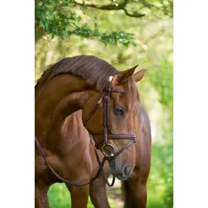 Bridon Classic Kerbl image-1