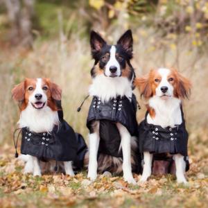 Quilted raincoat Back on Track 89 cm image-1