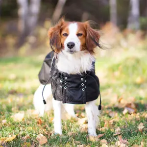 Quilted raincoat Back on Track 52 cm image-3