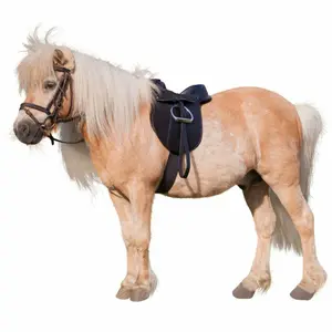 Equipped bardette Kerbl economy pony image-1