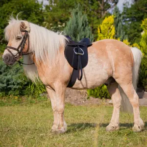 Equipped bardette Kerbl economy pony image-2