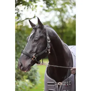 Halster met volledige fleece voering Kerbl Dexter image-2