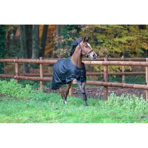 Decke RugBe Kerbl IceProtect 200g image-1