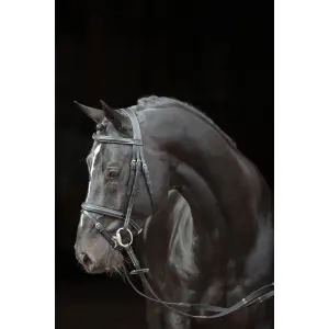 Trense classic Kerbl image-1