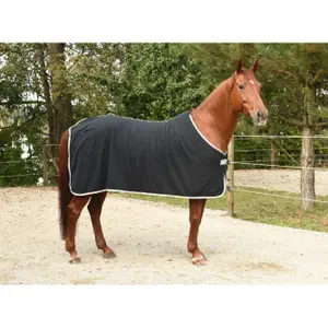 RugBe-tæppe Covalliero Economic image-1