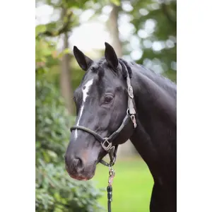 Cob halter Kerbl Cordano image-0