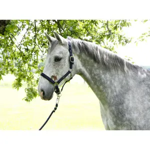 Full halter Kerbl liam image-0