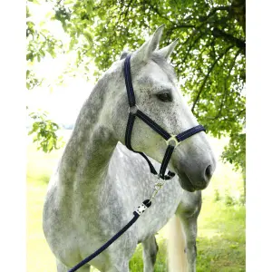 Pony-Halfter Kerbl liam image-6