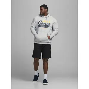 Sweatshirt Jack & Jones jjelogo sweat hood 2 col noos 20/21 ps image-2
