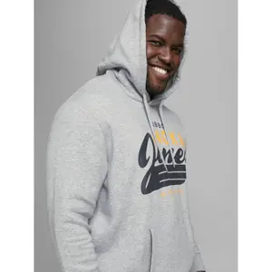Sweatshirt Jack & Jones jjelogo sweat hood 2 col noos 20/21 ps image-4