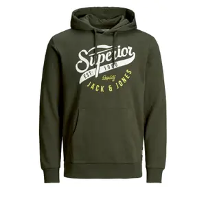 Sweatshirt Jack & Jones jjelogo sweat hood 2 col 20/21 noos image-0