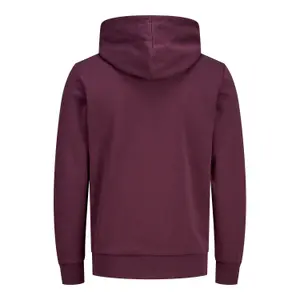 Sweatshirt Jack & Jones Coanton image-1