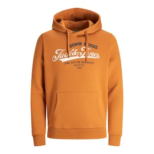 Sweatshirt Jack & Jones jjelogo sweat hood 2 col 20/21 noos image-0