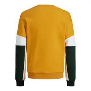 Sweatshirt Jack & Jones Coscott Neck image-1