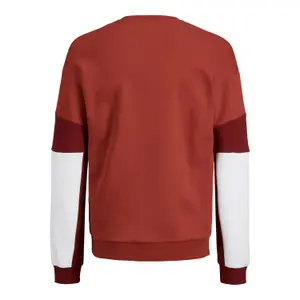 Sweatshirt Jack & Jones Coscott Neck image-1