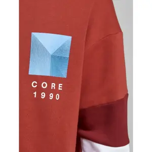 Sweatshirt Jack & Jones Coscott Neck image-2