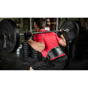 Padded leather belt Harbinger image-3