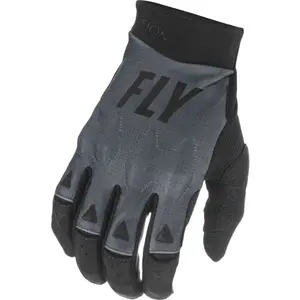 Gloves Fly Racing Evo 2021 image-0