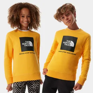 Junior Sweater The North Face Box Drew Peak image-1